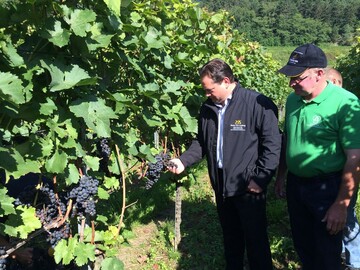 Alexander Bonde (links) mit Badens Weinbauprsident Kilian Schneider im Weinberg