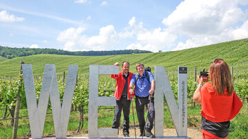 Wein-Fotospots wie hier in Brackenheim werden von Touristen gerne genutzt und sorgen nebenbei fr Werbung der Weinregion.