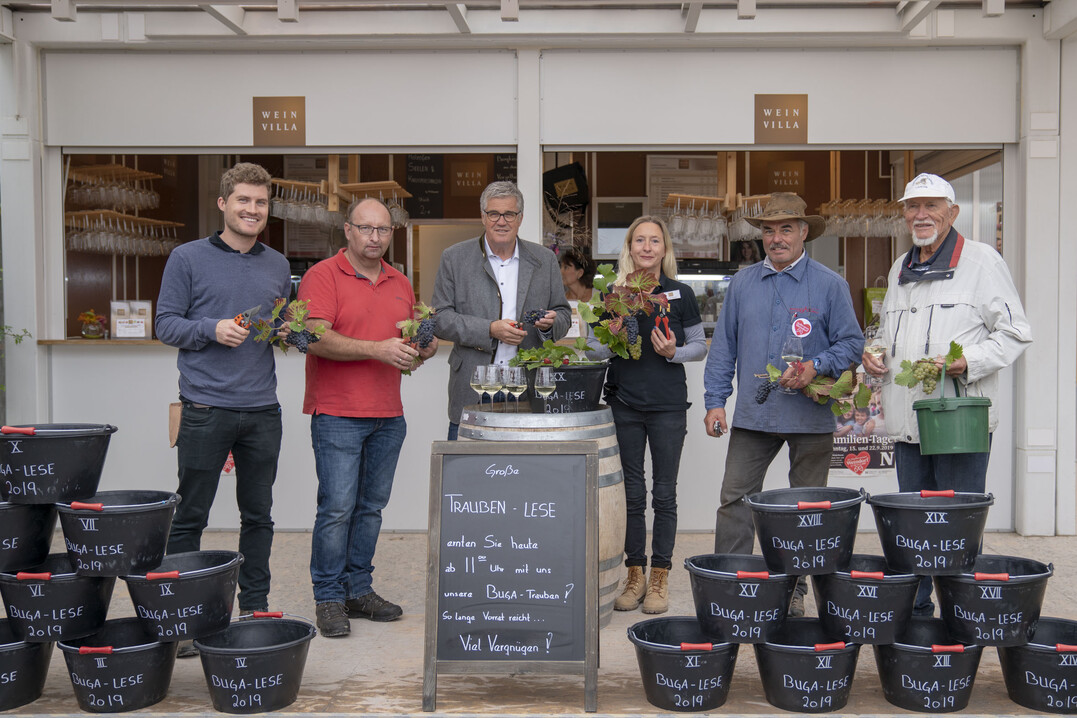 Sie alle freuen sich über die Ausbeute der BUGA-Rebstöcke (v. l.): Herr Schlor, Martin Heinrich, Alexandra Schlienz,Hanspeter Faas, Andreas Stutz und Daniel Drauz.