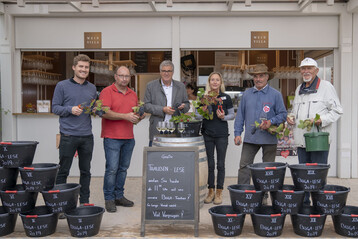 Sie alle freuen sich ber die Ausbeute der BUGA-Rebstcke (v. l.): Herr Schlor, Martin Heinrich, Alexandra Schlienz,Hanspeter Faas, Andreas Stutz und Daniel Drauz. 