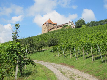 Auf ein Neues: Der Versuchsbetrieb Burg Wildeck wird derzeit auf kologische Bewirtschaftung umgestellt.