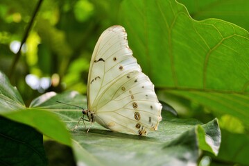 Jeder Einzelne ist gefragt, durch unzhlige Mglichkeiten zum Erhalt der biologischen Vielfalt beizutragen.