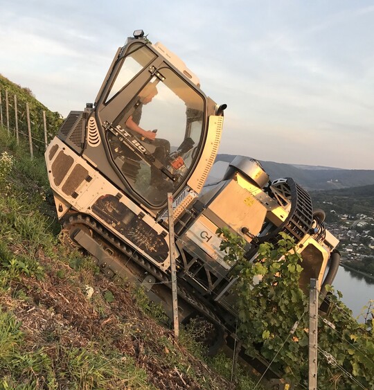 Steillagenvollernter
