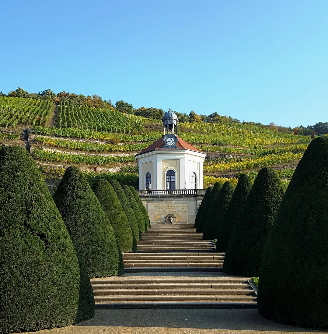 DasWeingut Schloss Wackerbarth bietet spannende und unvergleichliche Erlebnisse.