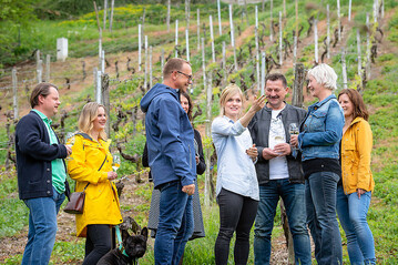 Royale Weinwanderung mit Carolin Klckner beim Terrassenweinberg in Naumburg.