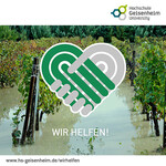 Studierende, Alumni und Hochschulangehörige aus Geisenheim leisten praktische und finanzielle Hilfe, um die Flutopfer zu unterstützen.