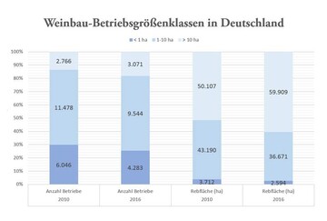 Weingter mit mehr als zehn Hektar Weinberge spielen heute eine bedeutende Rolle im deutschen Weinbau. Ihre Anzahl ist im gleichen Zeitraum um 300 auf rund 3.100 angestiegen, wobei 890 von ihnen mehr als 20 Hektar Weinberge besitzen.