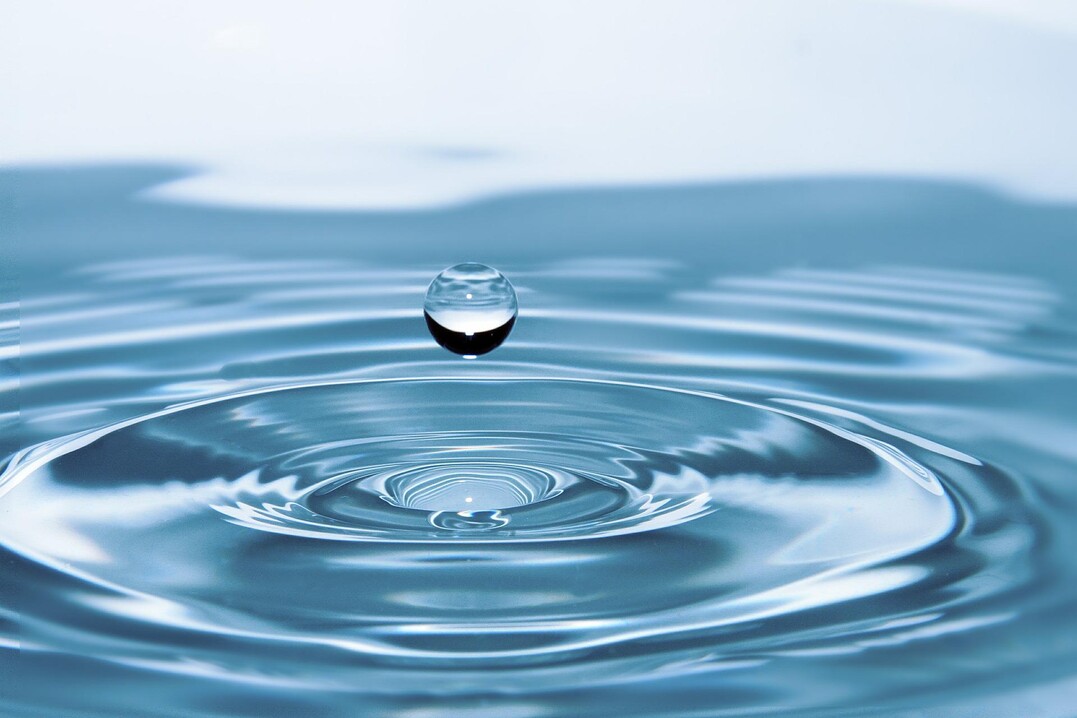Die Regionalkonferenz zur Klimaanpassung betonte an der Hochschule Geisenheim, dass Trinkwasser zu kostbar fr die Bewsserung sei.
