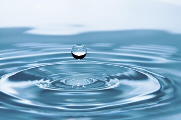 Die Regionalkonferenz zur Klimaanpassung betonte an der Hochschule Geisenheim, dass Trinkwasser zu kostbar fr die Bewsserung sei.