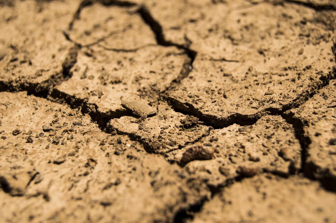 Europäische Landwirte werden sich zukünftig auf vermehrte Trockenheitsperioden einstellen müssen.