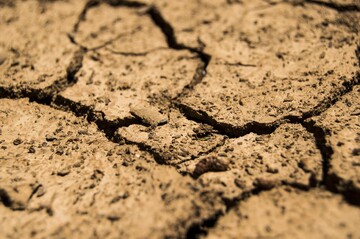 Europische Landwirte werden sich zuknftig auf vermehrte Trockenheitsperioden einstellen mssen.
