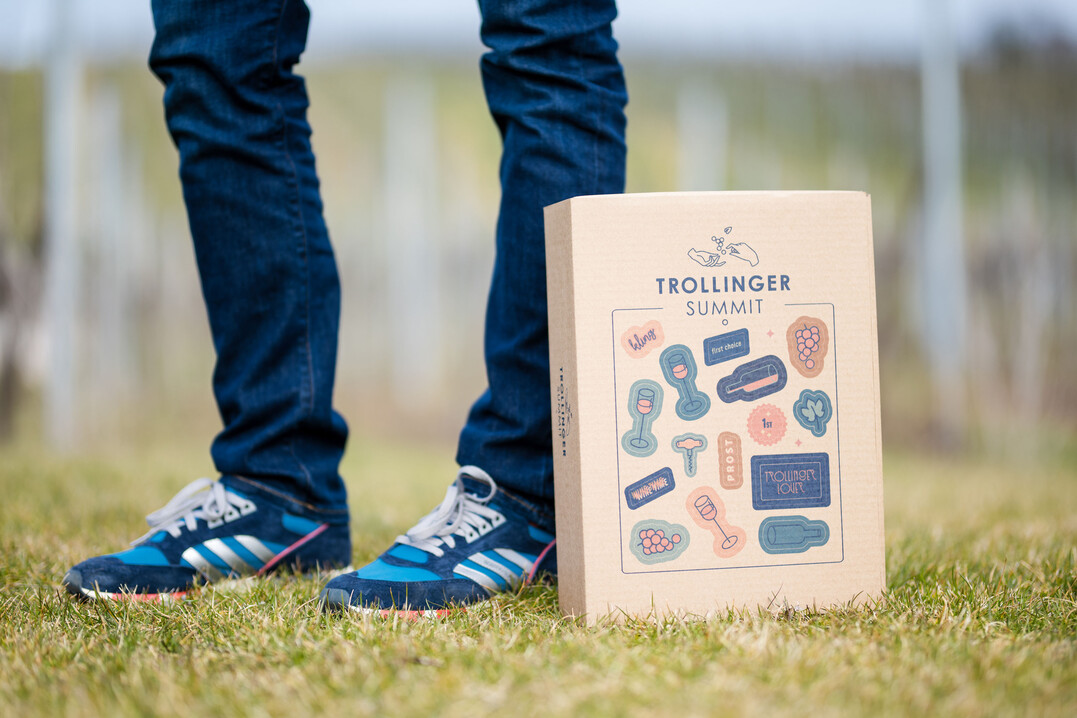 Aus dem Trollinger-Wettbewerb wurde der TrollingerSummit.