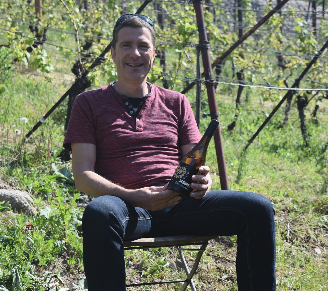 Martin Schwarz aus Radebeul will am 21. August mit der Rotwein-Lese starten.
