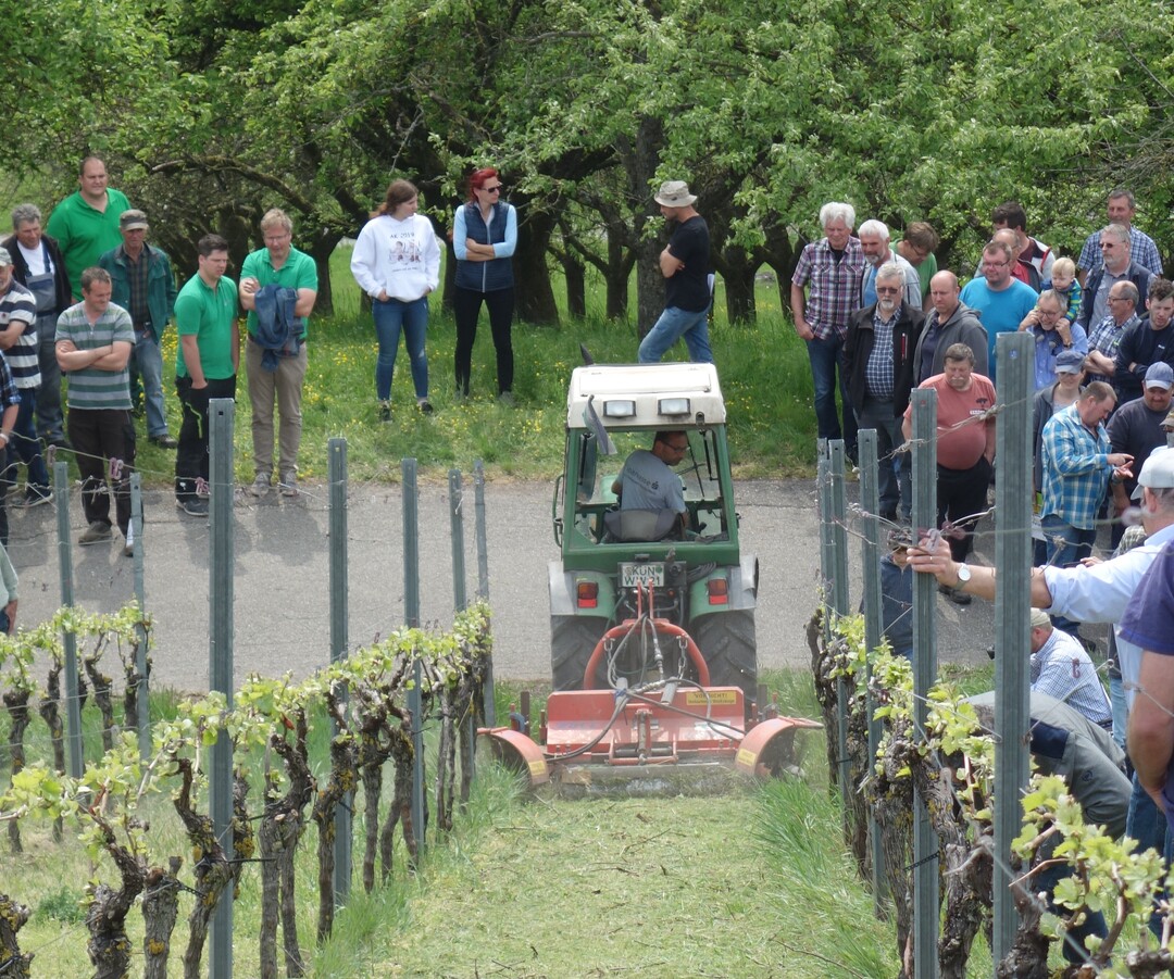 Rund 150 interessierte Wein- und Obstbauern nahmen an der Maschinenvorführung des Weinbauarbeitskreis Hohenlohe teil.