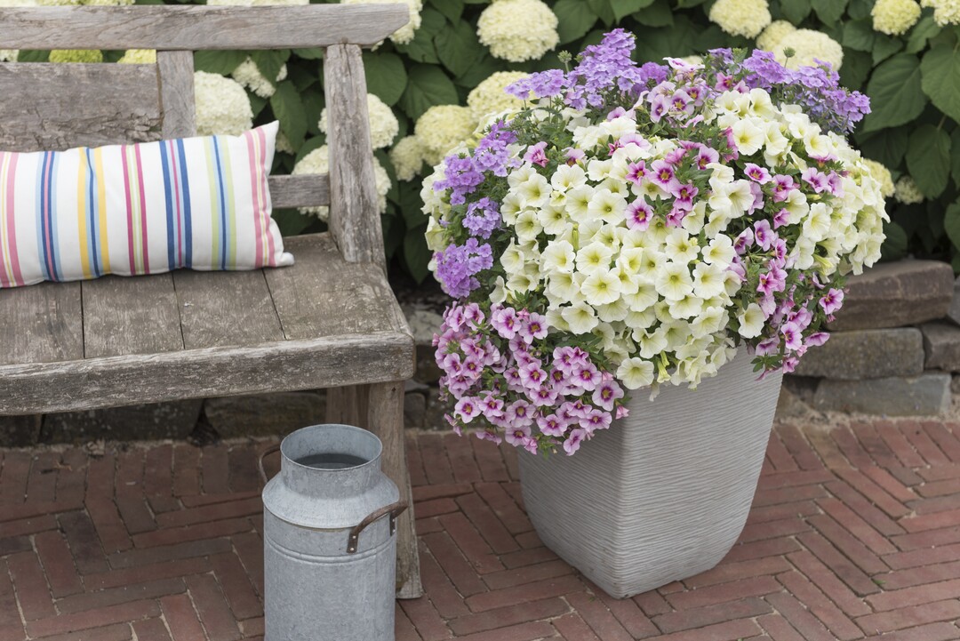 Confetti Garden Hunny Bunny