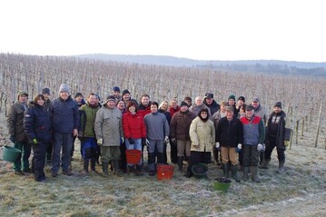 Eisweinlese