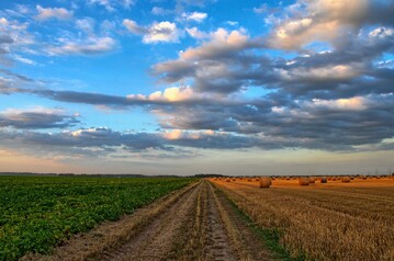 Die Auswirkungen des Ukrainekrieges ziehen groe Kreise. Auch deutsche Landwirte spren die negativen Folgen.