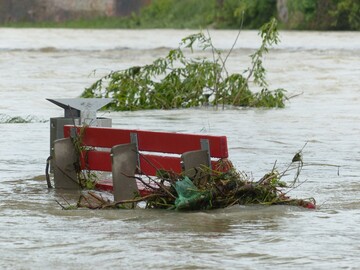 Wissenschaftler erarbeiten Schutz- und Planungskonzepte fr von der Flut betroffene Kommunen.