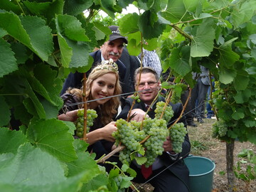 Frnkische Weinknigin Klara Zehnder, Weinbauprsident Artur Steinmann und Staatsminister Prof. Winfried Bausback (v. l.) erffnen die frnkische Weinlese.