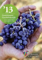 Geschäftsbericht 2013