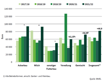 Gewinn der Haupterwerbsbetriebe nach Betriebsformen.