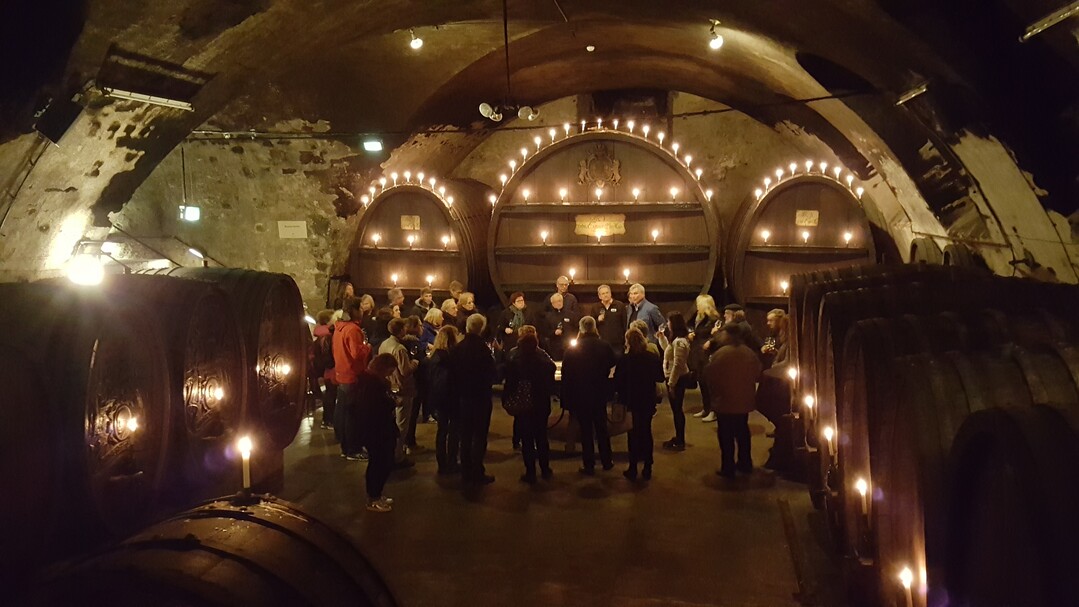 Die Weinerlebnisführer im Hofkeller Würzburg.