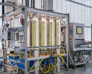 Mithilfe eines Photobioreaktors wird die Algenbiomasse gewonnen.