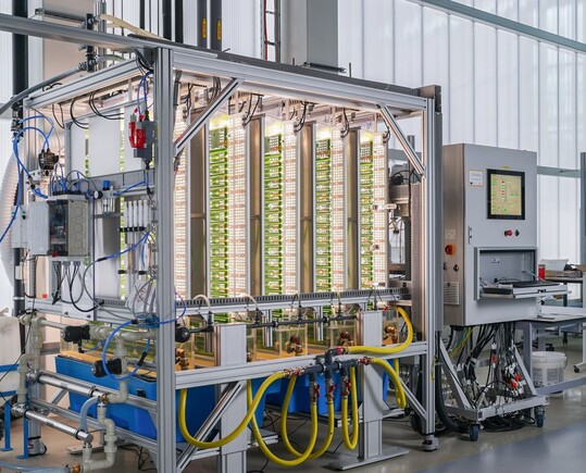 Mithilfe eines Photobioreaktors wird die Algenbiomasse gewonnen.