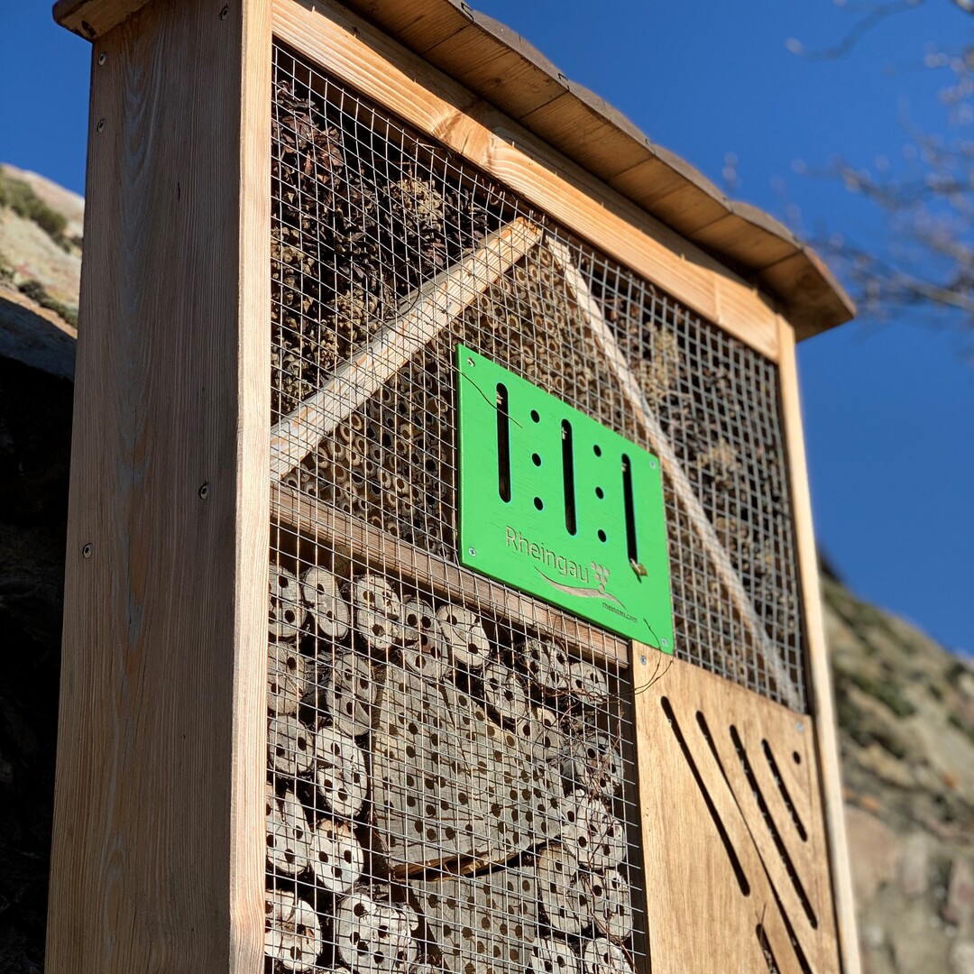 Insektenhotels in den Weinbergen bieten Unterschlupf- und Nistmöglichkeiten für nützliche Insekten.