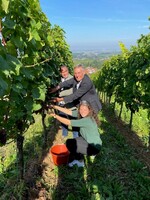 Bei herrlichster Spätsommersonne eröffnete der Badische Weinbauverband offiziell die Lese des Jahrgangs 2021 in Britzingen.