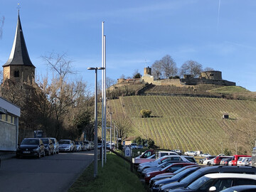 Bei schon fast frhlingshaften Temperaturen grte die Burgruine Weibertreu die Besucher der 66. Weinbautagung in Weinsberg. 