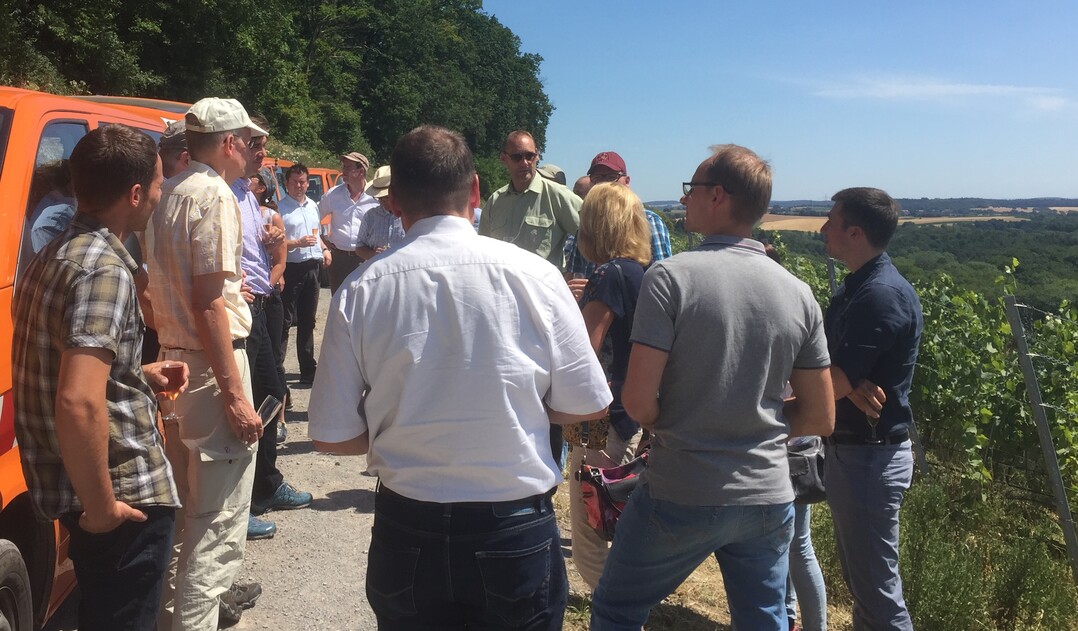 Spezialisten der Rebflurneuordnung bewerten die gelungene  Neugestaltung des Eichelbergs als nachhaltigen Beitrag zur Erhaltung des Weinbaus.