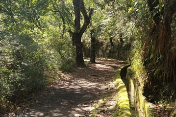 Madeira-Reise