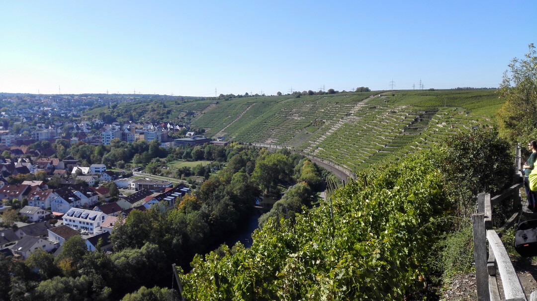 Die Steillagen in Baden-Württemberg sind ein wichtiges Markenzeichen. Mit der neuen Förderung sollen auch Kleinststrukturen gefördert werden, um den Steillagenweinbau in der Fläche zu erhalten.