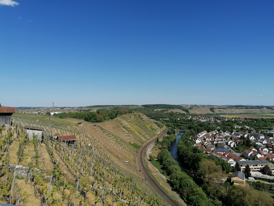 Blick über die Steillagen um Besigheim.