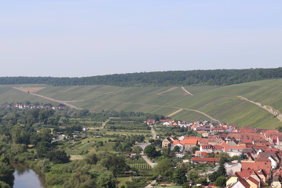 Der Weinort Escherndorf ist ein Teil der Mainschliefe
