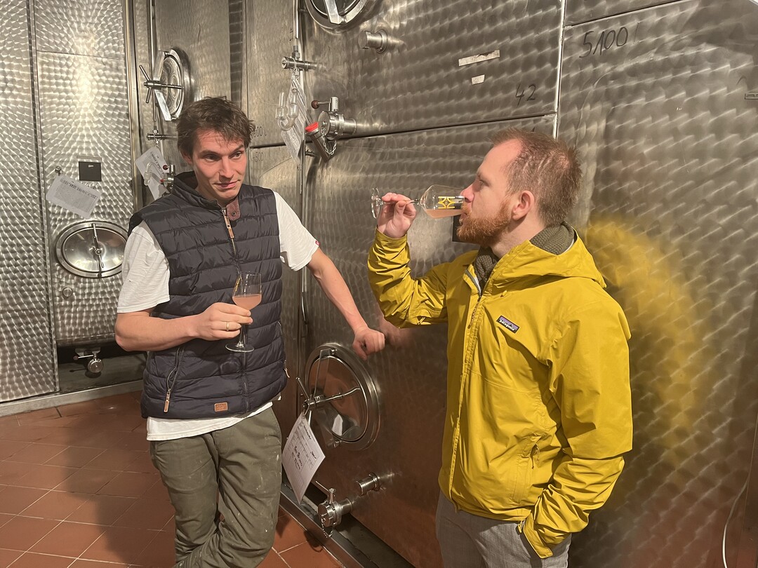 Kellermeister Johann Michalika-Althus und Geschftsfhrer Karsten Lietz bei einer Tankprobe des Schielers vom Jahrgang 2022: Sie sind zufrieden, wie sich der junge Wein entwickelt.