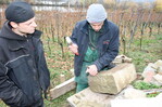 Praxiskurs Weinbergsmauern sanieren