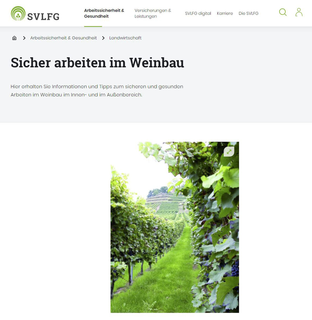 Bei der SVLFG finden Winzer alle wichtigen Informationen zu Arbeitssicherheit und zum Gesundheitsschutz im Weinbau.