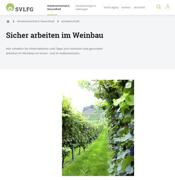 Bei der SVLFG finden Winzer alle wichtigen Informationen zu Arbeitssicherheit und zum Gesundheitsschutz im Weinbau.
