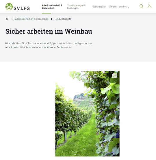 Bei der SVLFG finden Winzer alle wichtigen Informationen zu Arbeitssicherheit und zum Gesundheitsschutz im Weinbau.