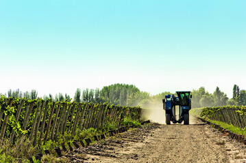 Die INTERVITIS INTERFRUCTA HORTITECHNICA zeigt technische Innovationen aus den Bereichen Wein, Saft und Sonderkulturen