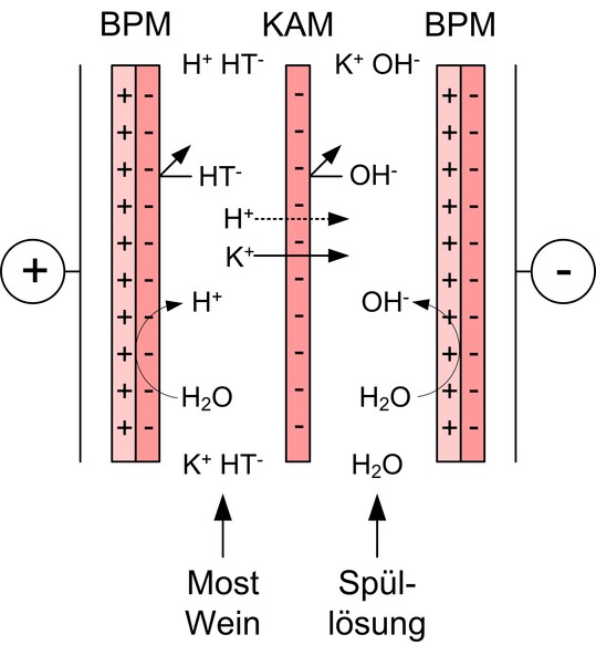 Modulanordnung einer Elektrodialyse mit bipolaren Membranen zur Absenkung des pH-Wertes in Sften, Mosten und Weinen (KAM: Kationenaustauschermembran, BPM: bipolare Membran).