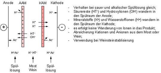 Anordnungsmglichkeiten der ionenselektiven Membranen unter Verwendung saurer bzw. alkalischer Spllsung und deren Auswirkungen (AAM: Anionenaustauschermembran, KAM: Kationenaustauschermembran).