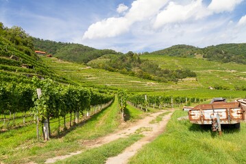 Die Wrttembergische Weintagung 2022 bot ein vielfltiges Programm an interessanten Vortrgen rund um den Weinbau.