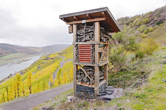 Mit dem Projekt 100 Lebenstrme fr die Mosel setzt die ganze Urlaubs- und Weinregion Mosel ein sichtbares Zeichen fr mehr Artenvielfalt.