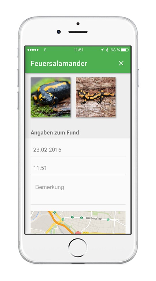 <p><Strong>Funde melden per Smartphone-App</strong></p>

<p>Mit der App Meine Umwelt" (Download unter: <a href="http://www.umwelt-bw.de/meine-umwelt" target="_blank">www.umwelt-bw.de/meine-umwelt</a>) knnen Funde auch schnell von vor Ort gemeldet werden. </p>
<p> Fr Android steht bei Google Play die erweiterte Meldeplatt bereits zur Verfgung. iOS- und Windows Phone 8-Nutzer mssen noch bis nchste Woche warten, bis die upgegradete Version im Apple App Store und im Windows Phone Store verfgbar ist.</p>