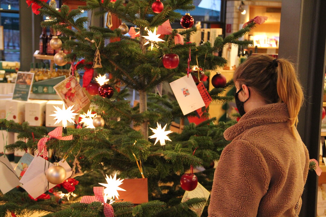   Lucy (13) hngt die Wunschzettel am Wunschbaum im Gutsmarkt von Schloss Wackerbarth auf.