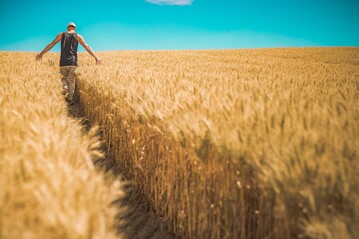 Hessen frdert die Aus- und Fortbildungsmglichkeiten im Bereich kolandbau.