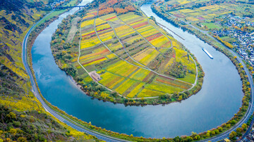 Der Klimawandel wird den Weinbau immer strker verndern und zum Teil auch aus bislang klassischen Anbaugebieten verdrngen.